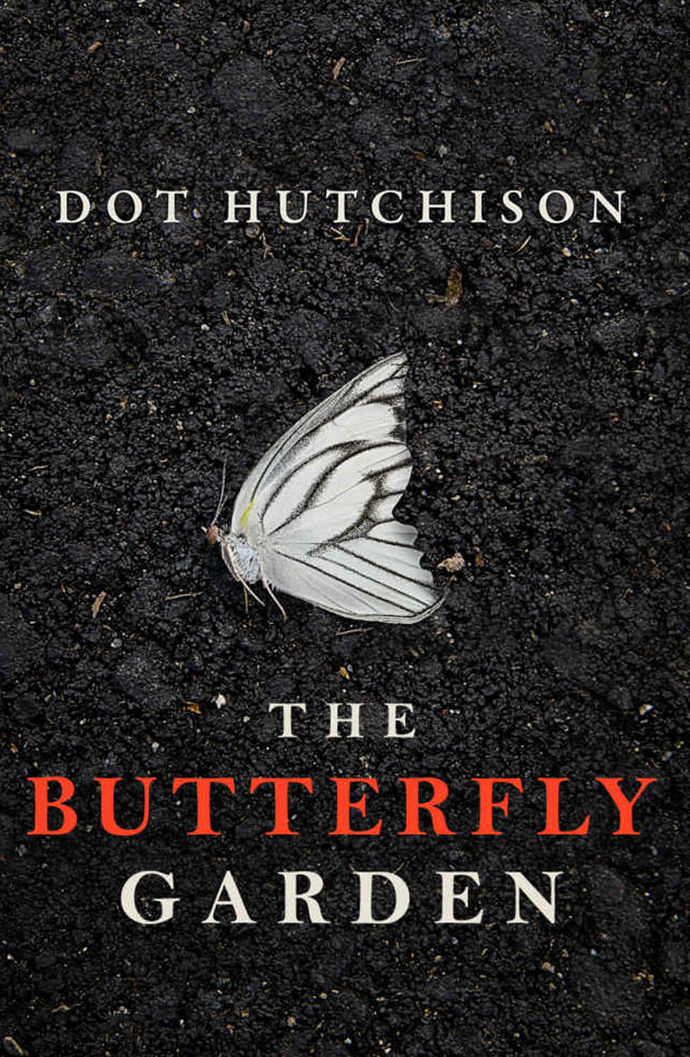 The Memory Keeper’s Daughter